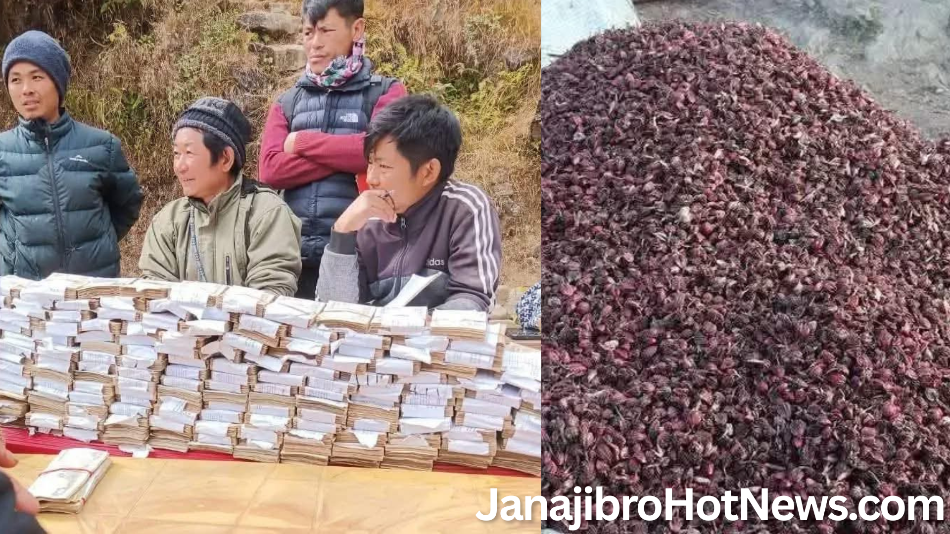 संखुवासभामा सामूहिक अलैंची खेतीबाट १ करोड १७ लाख आम्दानी