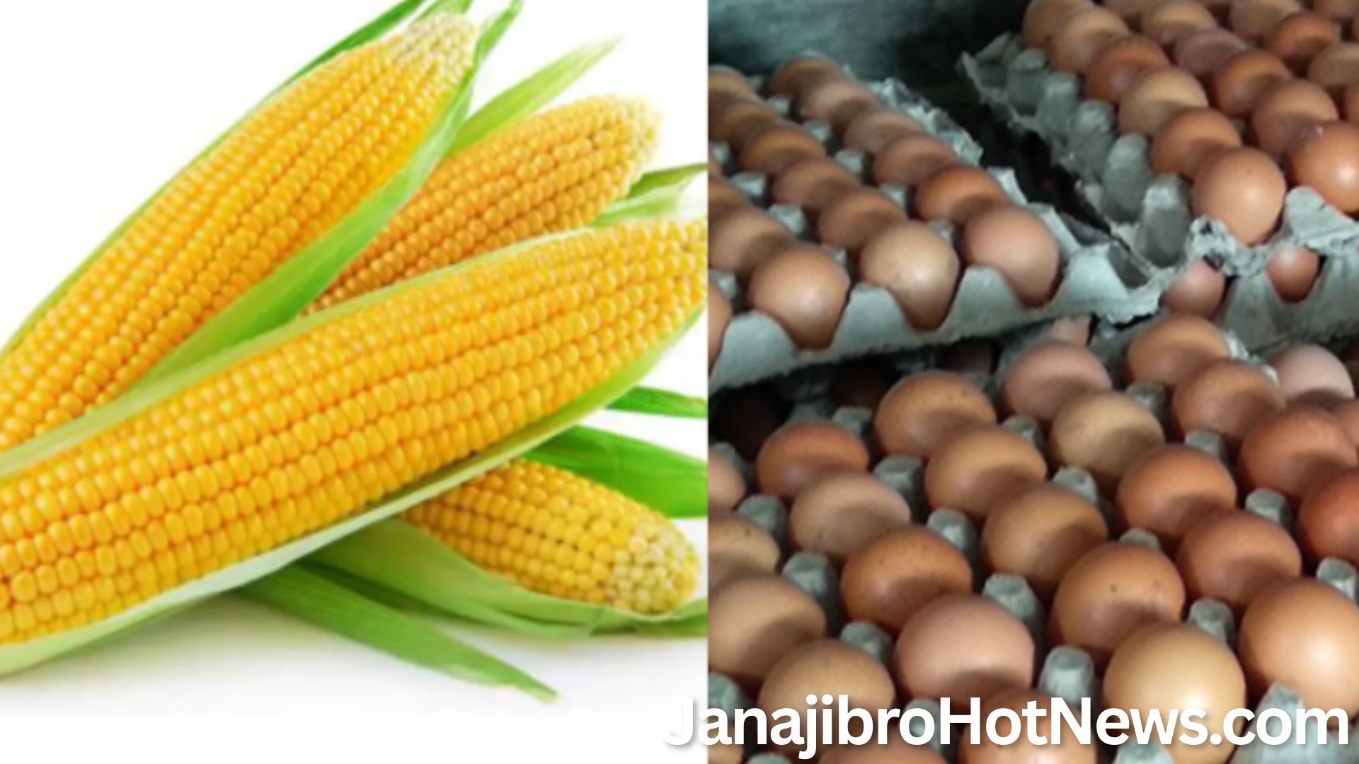 कृषि उत्पादनको मूल्य सूचकाङ्कमा वृद्धि : अण्डा र मकैमा उच्च वार्षिक वृद्धिदर